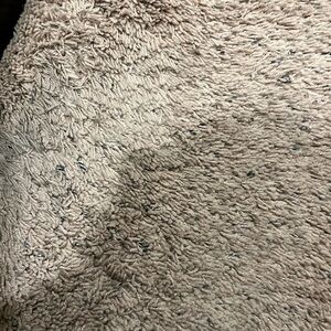 BEAUTIFUL SET OF ETCHED GLASSES AND ICE BUCKET